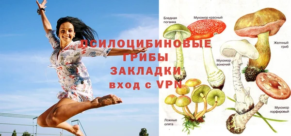 COCAINE Богородицк